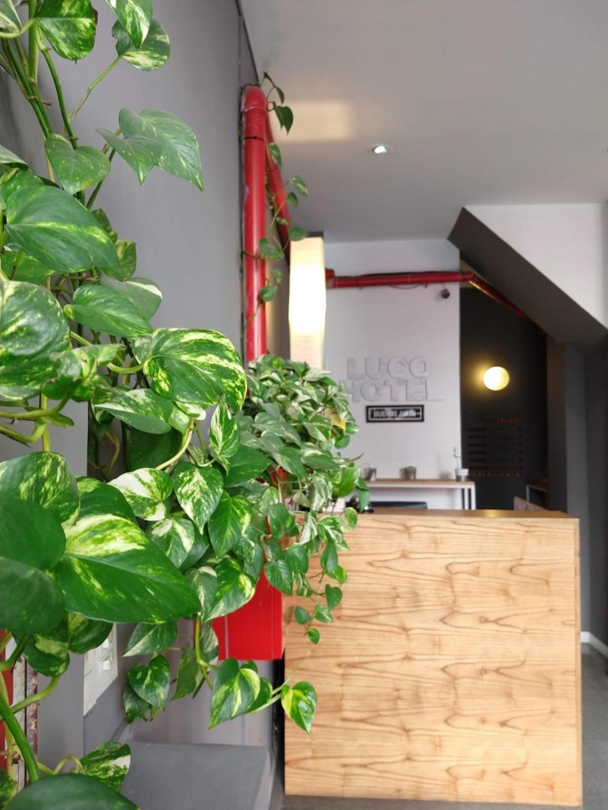 Luco Hotel Buenos Aires Eksteriør bilde
